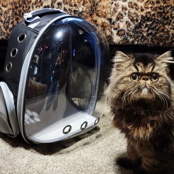 Pet Carrier Bubble Backpack Black..Dog or Cat.. New w/ Tag! - Picture 1 of 5